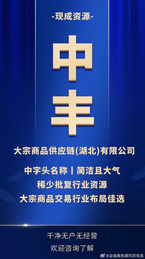 湖北软件贸易公司如何借力大宗商品交易与股权架构设计，打通国际贸易转让通路？